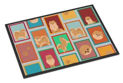 NEW Lots of Orange Pomeranian Doormat Front Door Mat Indoor Outdoor Rugs for Entryway, Non Slip Washable Low Pile, 18H X 27W