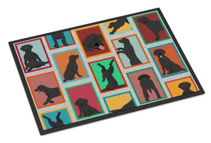 NEW Lots of Black Labrador Retriever Doormat Front Door Mat Indoor Outdoor Rugs for Entryway, Non Slip Washable Low Pile, 18H X 27W