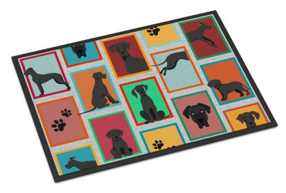 NEW Lots of Black Great Dane Doormat Front Door Mat Indoor Outdoor Rugs for Entryway, Non Slip Washable Low Pile, 18H X 27W